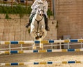 White horse jumping the obstacle durign a five star competition