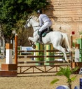 White horse jumping the obstacle durign a five star competition