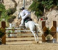 White horse jumping the obstacle durign a five star competition