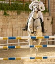 White horse jumping the obstacle durign a five star competition