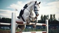 White Horse Jumping Over Equestrian Hurdle