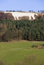 White Horse at Kilburn - Great Britain Royalty Free Stock Photo