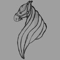 White horse logo traced sketch Royalty Free Stock Photo