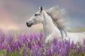 Horse in blue lupine flowers Royalty Free Stock Photo