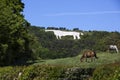 The White Horse near Kilburn - Yorkshire - England