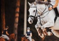 A white horse with a rider in the saddle jumps high against the background of rivals. Show jumping competitions. Equestrian sports