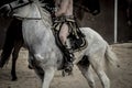 White horse, Roman chariot in a fight of gladiators, bloody circus Royalty Free Stock Photo