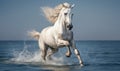 White horse running on the beach and splashing water in the sea Royalty Free Stock Photo