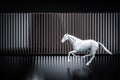 White horse running on black column pattern. Royalty Free Stock Photo