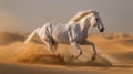 White Horse Running in Desert Dust Royalty Free Stock Photo