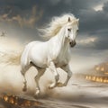 White horse running in the desert. The galloping white horse. Royalty Free Stock Photo