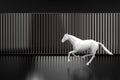 White horse running in front of Dark background. Royalty Free Stock Photo