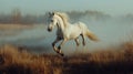 Majestic White Horse Galloping Through Foggy Sunrise Meadow Royalty Free Stock Photo
