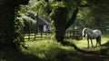 White Horse Solitude Amidst Verdant Fields and Rustic Charm