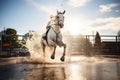 white horse splashing through water jump Royalty Free Stock Photo