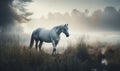 a white horse standing in a field next to a forest filled with trees and grass on a foggy day with a body of water in the Royalty Free Stock Photo