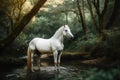 white horse stands in a pond in the forest Royalty Free Stock Photo