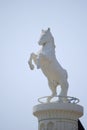 White horse statue Royalty Free Stock Photo