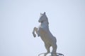 White horse statue Royalty Free Stock Photo
