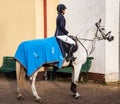 Horse riding . Young girl riding a horse . Equestrian sport in details. Royalty Free Stock Photo