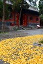 White Horse Temple. Luoyang, Henan. China Royalty Free Stock Photo