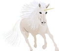 White Horse Unicorn