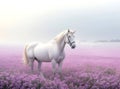 White horse walking through the mist in the morning in a beautiful flower garden Royalty Free Stock Photo