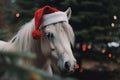 White horse wearing red Christmas Santa Claus hat