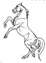 white horse on white background, isolated hand drawing Royalty Free Stock Photo