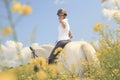 A white horse on yellow flower field with a rider Royalty Free Stock Photo
