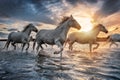 White horses in Camargue, France Royalty Free Stock Photo