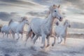 White horses in Camargue, France Royalty Free Stock Photo