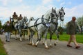 Horses and carriage