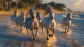 White Horses Galloping Through the Waves at Sunset Royalty Free Stock Photo