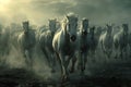 White Horses Herd in Wild, Running Stallion by Seaside, Beautiful Grey Horse, Sun Rays, Copy Space Royalty Free Stock Photo