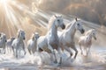 White Horses Herd in Wild, Running Stallion by Seaside, Beautiful Grey Horse, Sun Rays, Copy Space Royalty Free Stock Photo