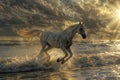 White Horses Herd in Wild, Running Stallion by Seaside, Beautiful Grey Horse, Sun Rays, Copy Space Royalty Free Stock Photo