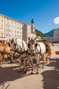 White horses waiting for a ride at the Residenzplatz in Salzburg, Austria Royalty Free Stock Photo