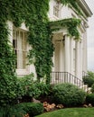White house covered in ivy, in Burlington, Vermont Royalty Free Stock Photo