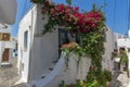 White house covered with red flowers, Chora town, Naxos Island, Greece Royalty Free Stock Photo