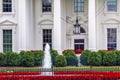 White House Door Red Flowers Pennsylvania Ave Washington DC Royalty Free Stock Photo