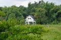 White house in forest