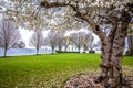 White House front garden springtime view Royalty Free Stock Photo