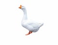 White house goose on a white background isolate Royalty Free Stock Photo