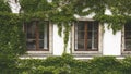 White house with old windows and covered with grape leaves Royalty Free Stock Photo