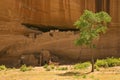 White House ruins, Canyon de Chelly Royalty Free Stock Photo