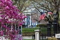 White House in springtime