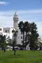 White houses,palm trees and minaret in La Goulette,Tunisia