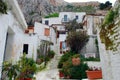 White houses with plants in Anafiotika, Athens