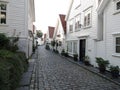 White houses in a street